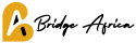 bridge-africa-logo